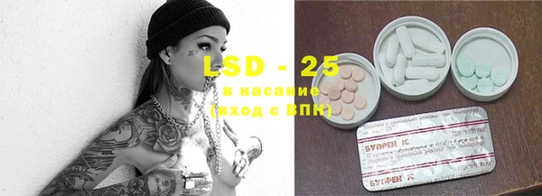 дурь Няндома