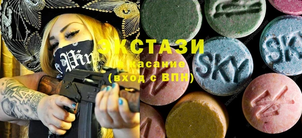 ECSTASY Богородицк