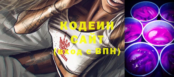 дурь Няндома