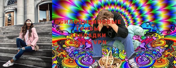 дурь Няндома