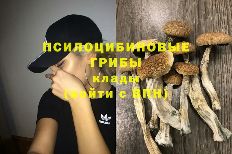 Галлюциногенные грибы Cubensis  Шарыпово 