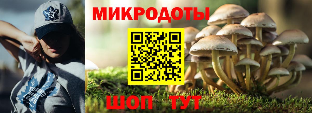 Галлюциногенные грибы Psilocybine cubensis  Шарыпово  Псилоцибиновые грибы ЛСД 