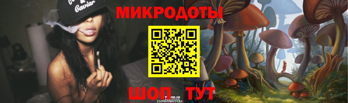 Галлюциногенные грибы Psilocybe Шарыпово